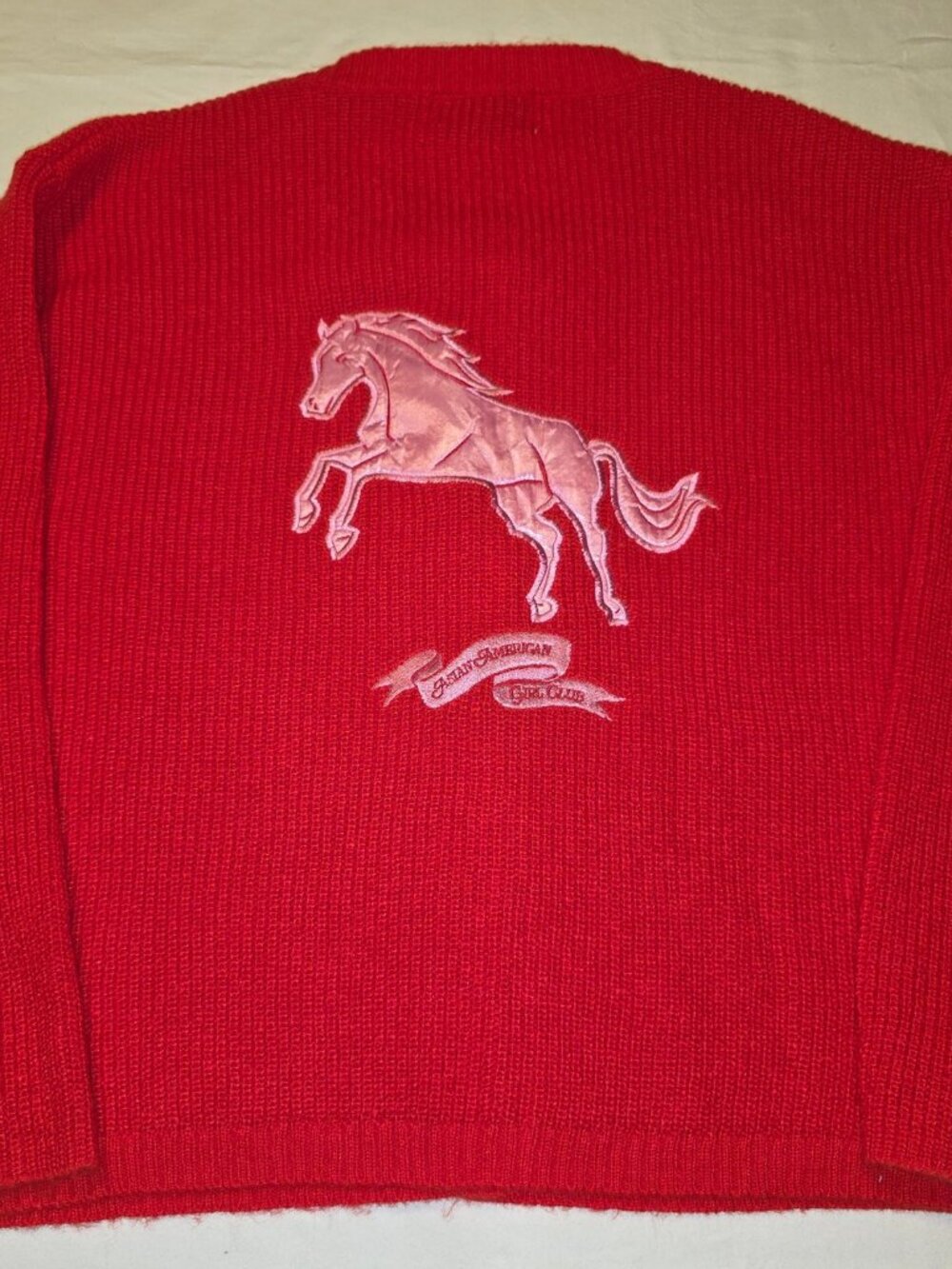 Lunar New Year Asian American Girl Club Women's Cardigan - Red XXL - Picture 2 of 6